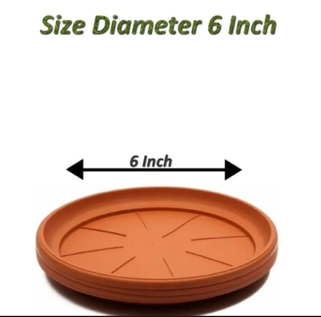 pot saucer 6 inches