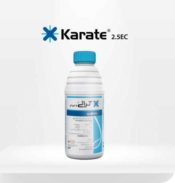 Karate