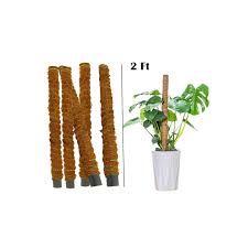 moss stick 2 feet