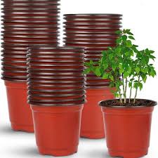 paper pot