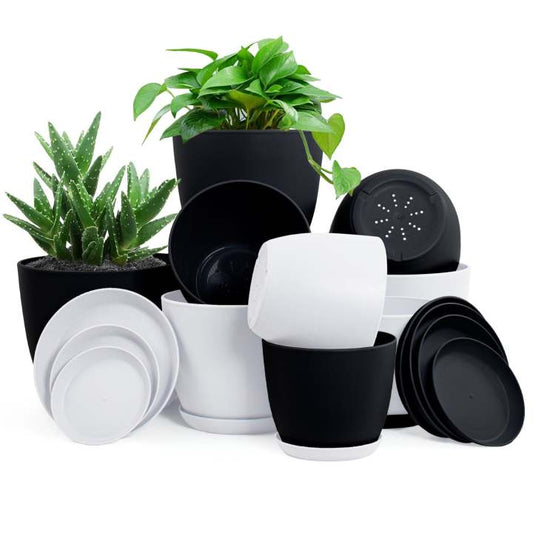 plastic pot 6"