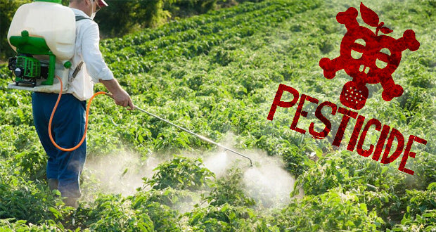 Pesticides 🛡️