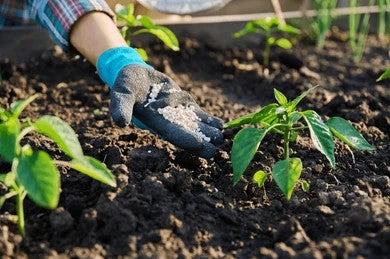 Insecticide for Soil 🌿