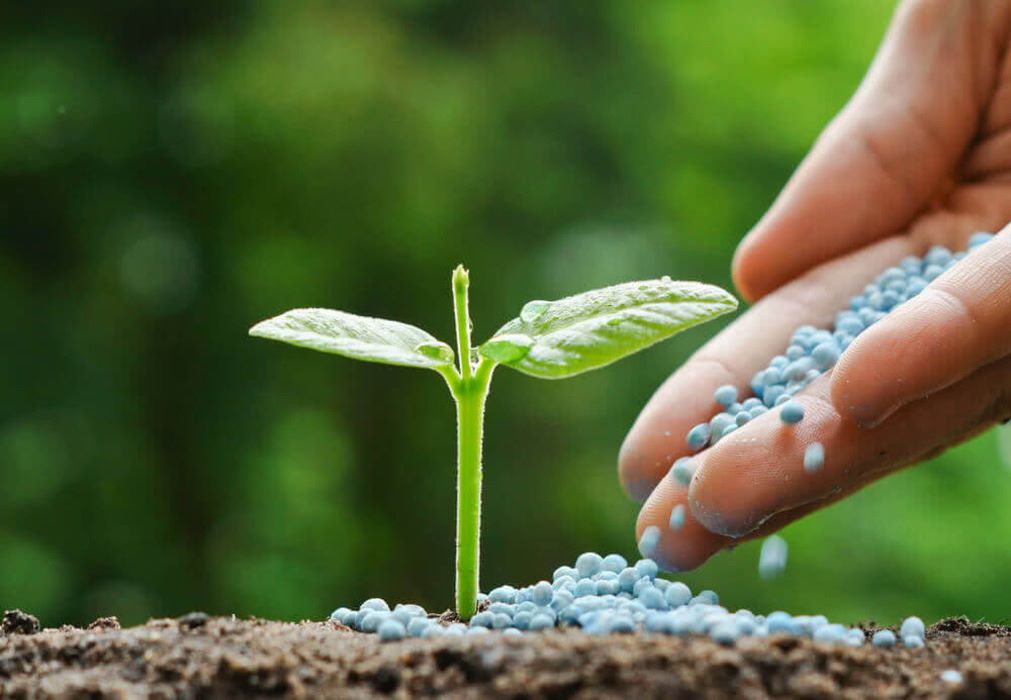 Fertilizers 🌱