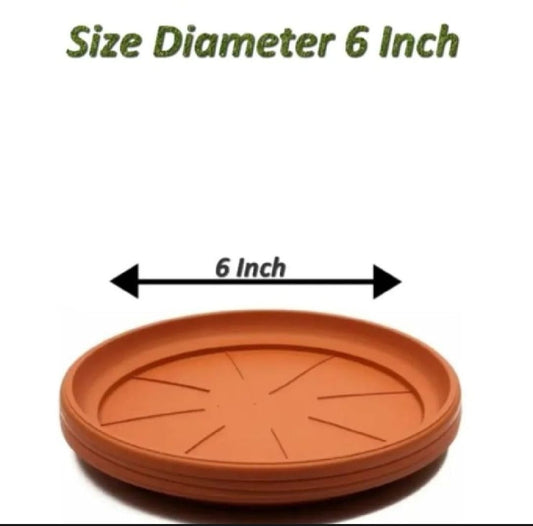 pot saucer 6 inches