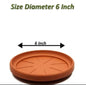 pot saucer 6 inches