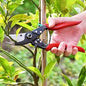 pruner shear