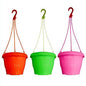 multi color plastic hinging