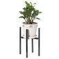 plant holder