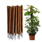 moss stick L 3' W 1"