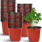 paper pot