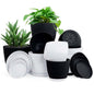 plastic pot 6"