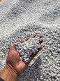 pumice stones