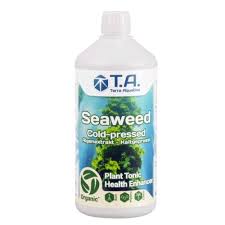 seawed T.A
