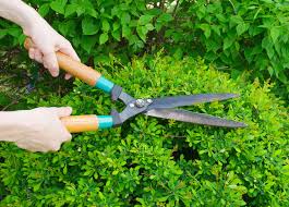 cutting shear