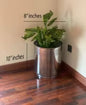 8" stainless steel pot