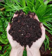 Trashit Compost
